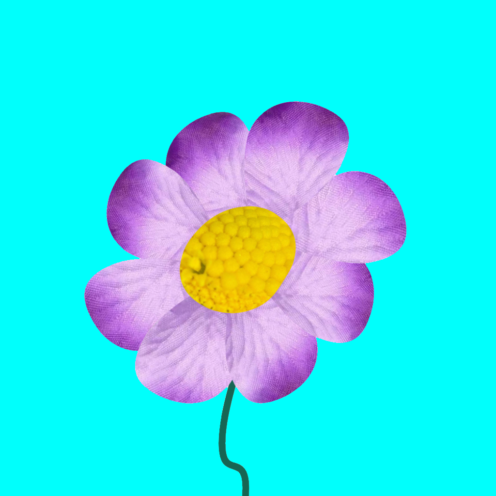 Art piece 5